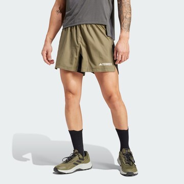 ADIDAS TERREX Regular Sportshorts 'Multi' in Grün: predná strana