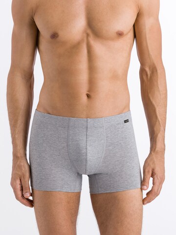 Hanro Boxer shorts ' Cotton Essentials ' in Grey