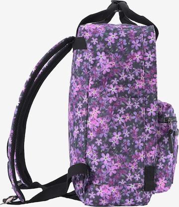 National Geographic Backpack 'LEGEND' in Purple