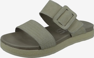 MJUS Mules in Grey: front
