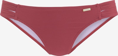 SUNSEEKER Bikini donji dio u burgund, Pregled proizvoda