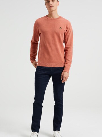 WE Fashion Sweater in Orange