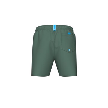 ARENA Swimming Trunks in Green