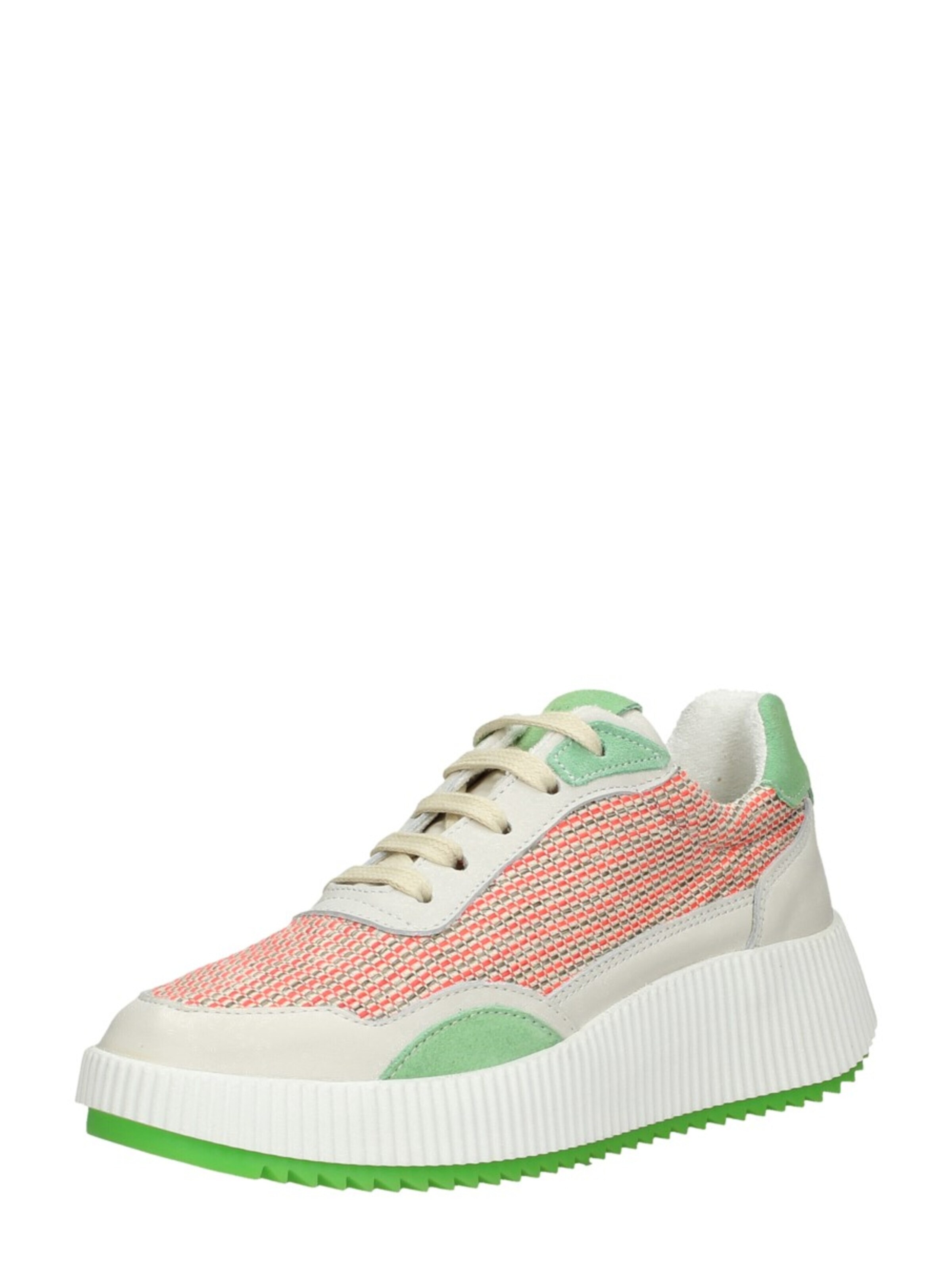 Palpa Sneakers laag in Groen: voorkant