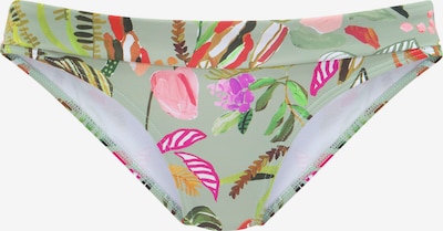 s.Oliver Bas de bikini 'Herbst' en sépia / vert pastel / rose / rouge, Vue avec produit