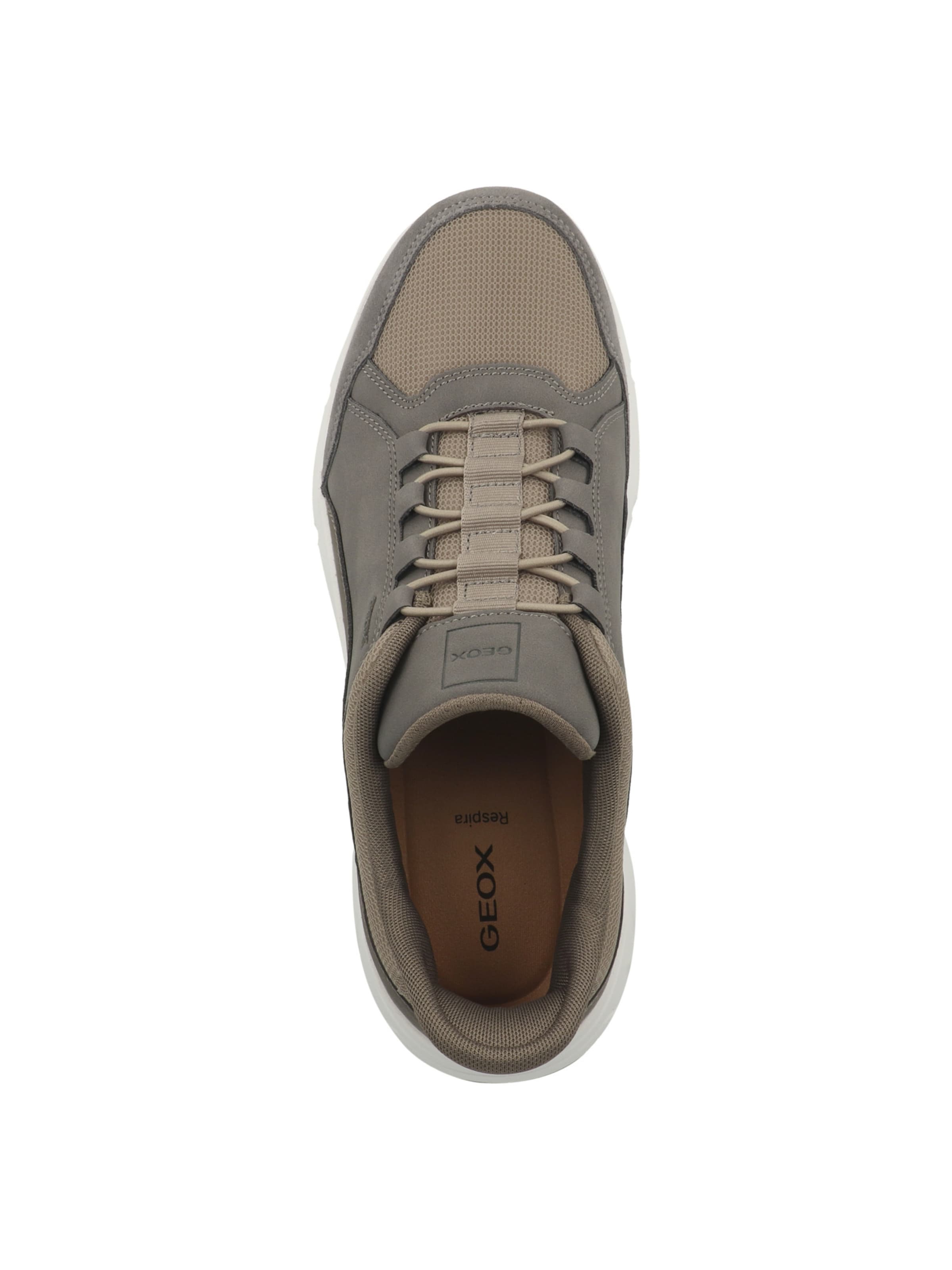 Baskets basses 'Plus A' GEOX en gris