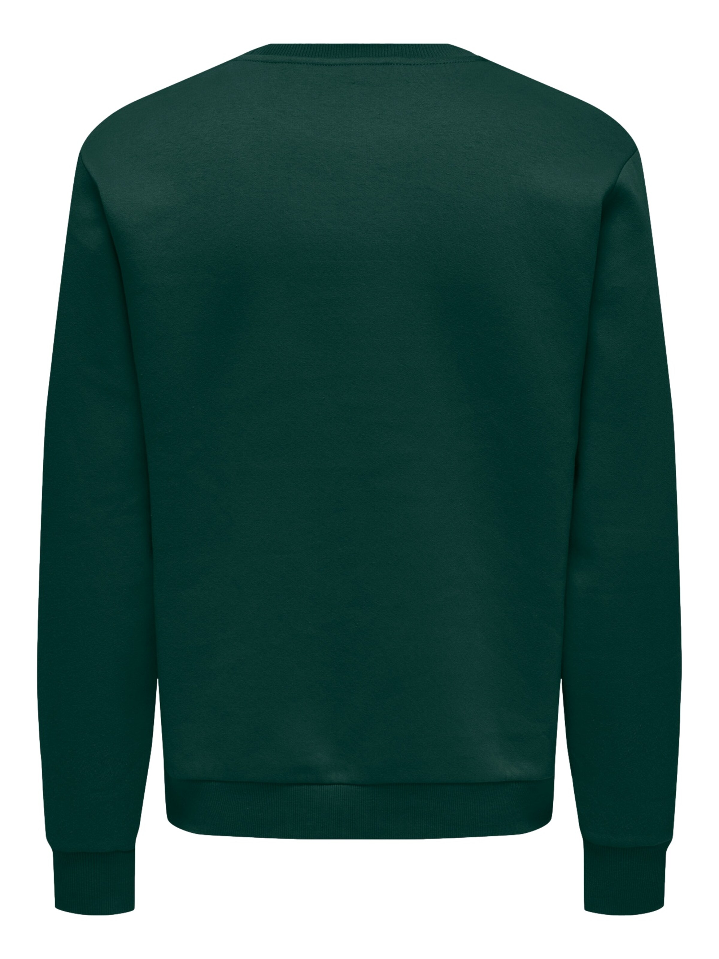 Only & Sons Regular Fit Sweatshirt 'ONSCERES' in Grün
