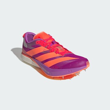 Chaussure de course ' Adizero Avanti XC ' ADIDAS PERFORMANCE en violet