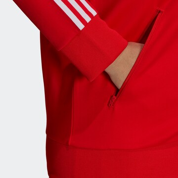 ADIDAS ORIGINALS Zip-Up Hoodie 'Primeblue' in Red