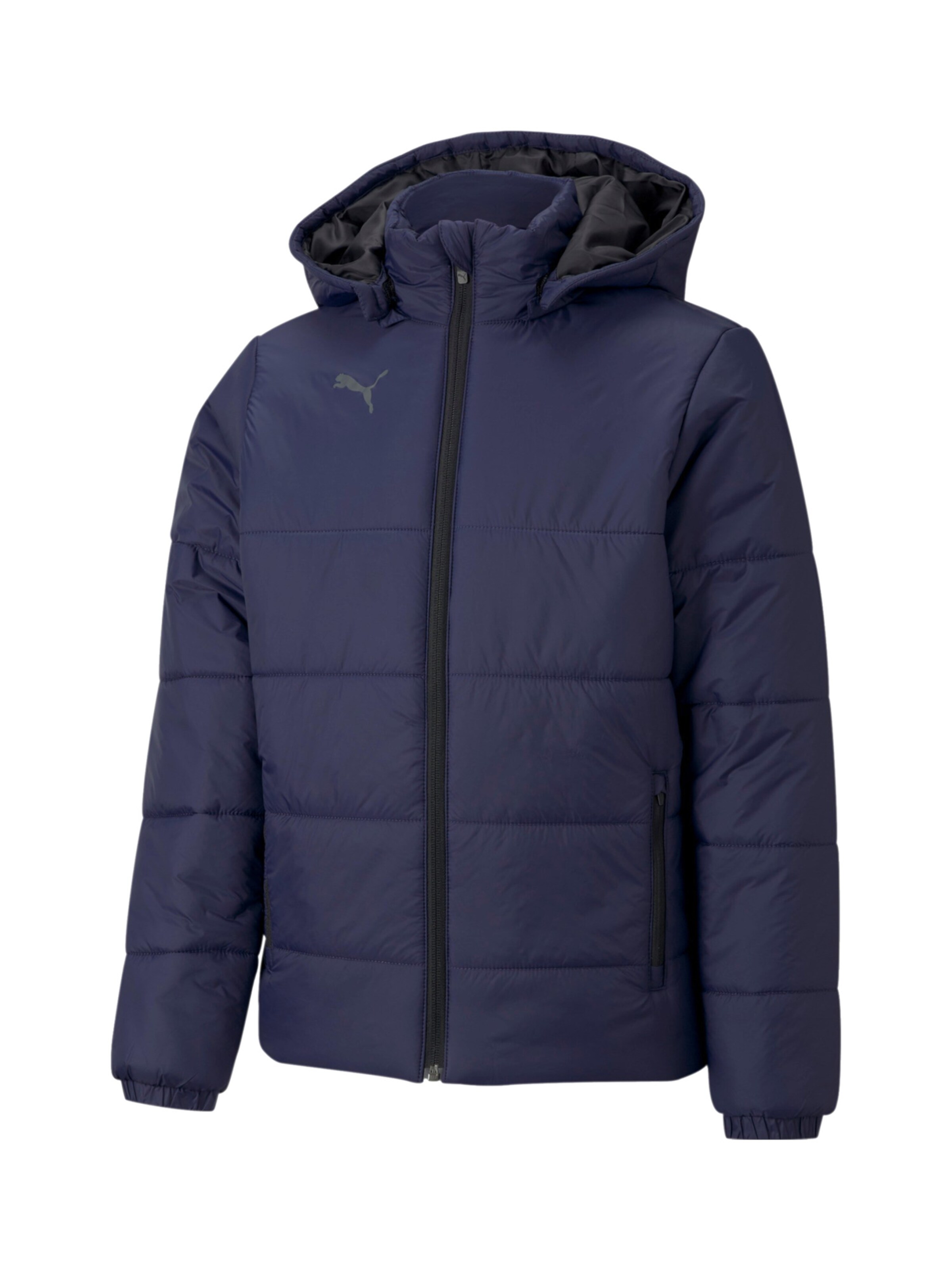 Veste de sport 'TeamLiga' PUMA en bleu : devant