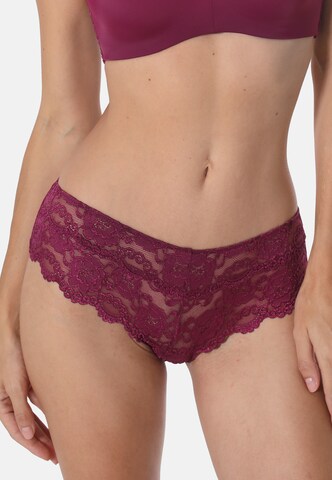 sassa Panty in Pink