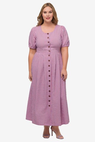 Ulla Popken Dress in Pink: front