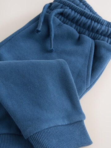 Next Regular Trousers in Blue