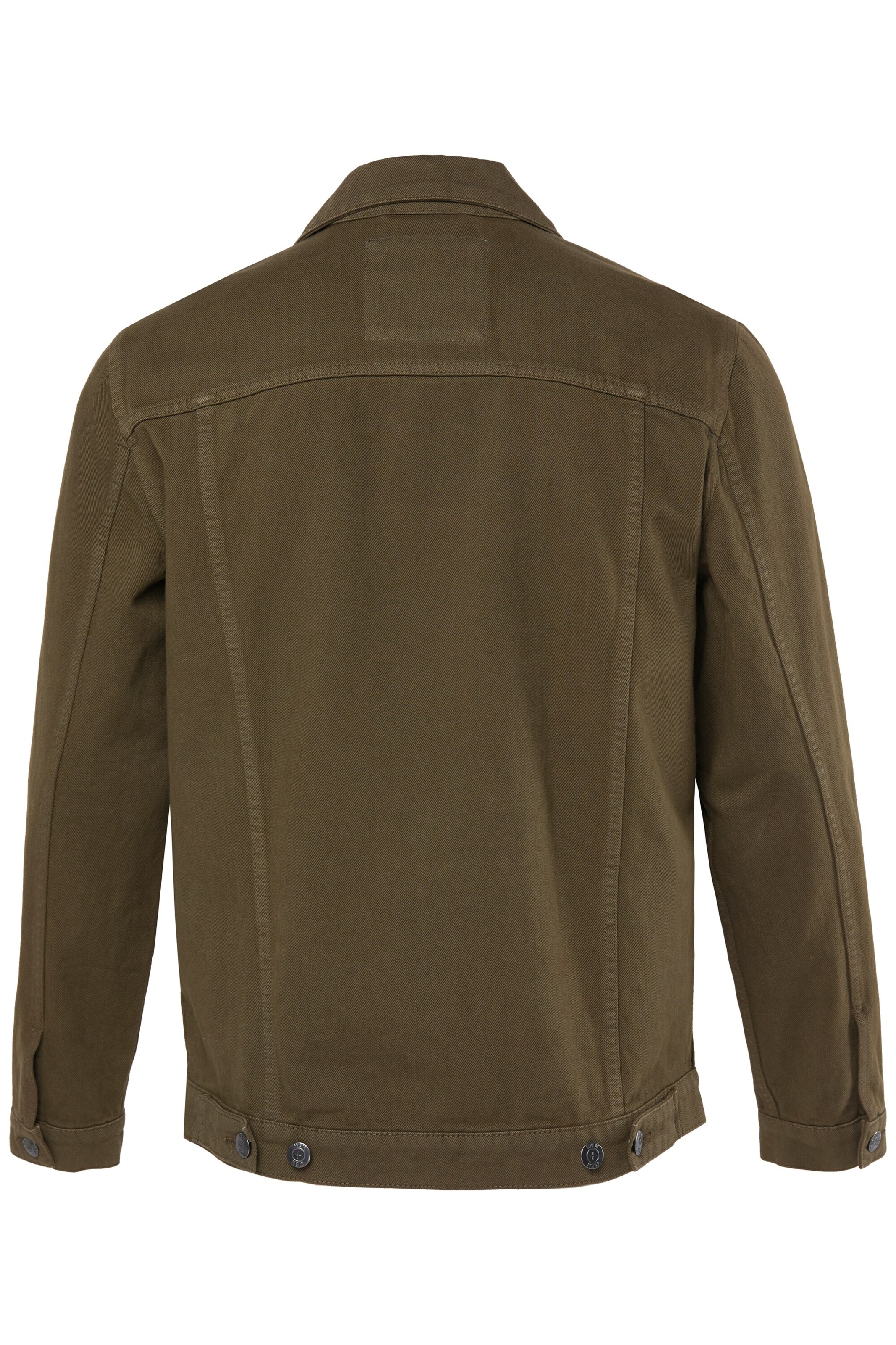 Men Plus Übergangsjacke in Grün