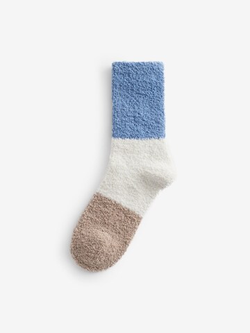 Next Socken in Mischfarben