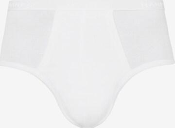 Hanro Panty 'Cotton Pure' in White: front