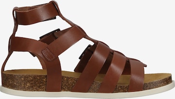 Kickers Sandalen met riem in Bruin