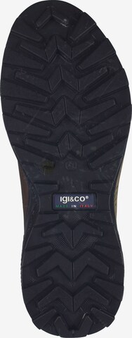 IGI&CO Schnürboots in Braun