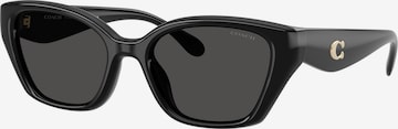 Lunettes de soleil 'CBY91' COACH en noir : devant