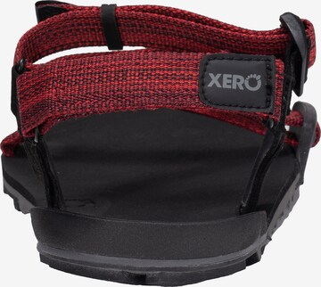 Xero Shoes Sandals 'Z-Trail EV' in Red