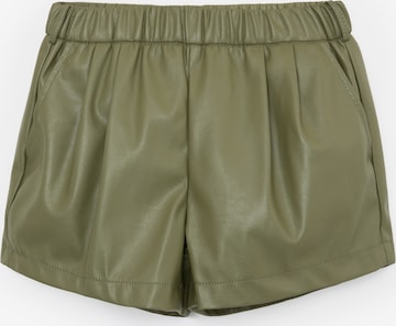 Gulliver Regular Pants in Green: front