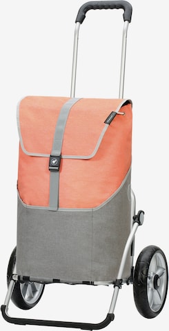 Andersen Shopper Shopper 'Royal' in Orange: front