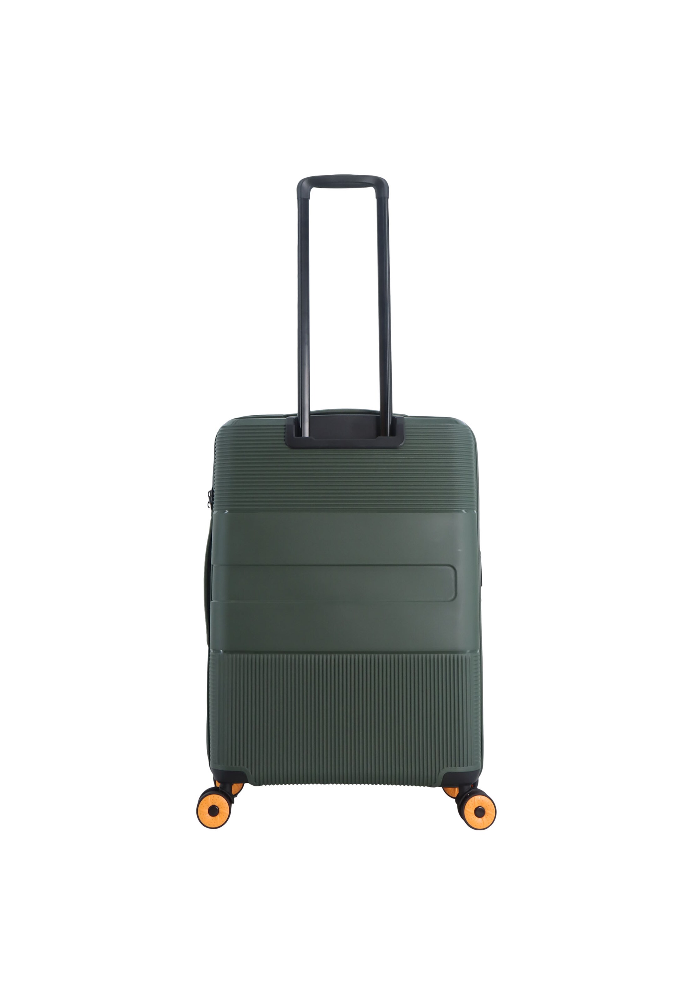 Discovery Suitcase 'Trails' in Green