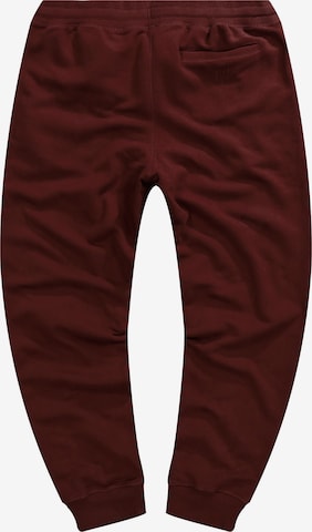 JAY-PI Tapered Pants in Brown