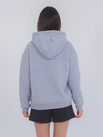 FRESHLIONS Sweatshirt ' Balina ' in Grey