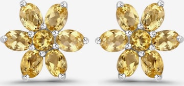 Rafaela Donata - Pendientes en plata: frente