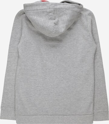 Petrol Industries Sweatshirt in Grey