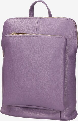 Gave Lux Backpack in Purple: front