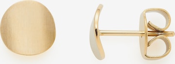 LEONARDO Earrings in Gold: front