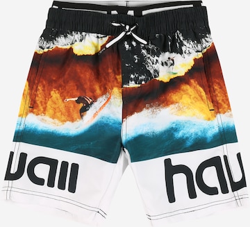Regular Shorts de bain 'Neal' Molo en mélange de couleurs : devant