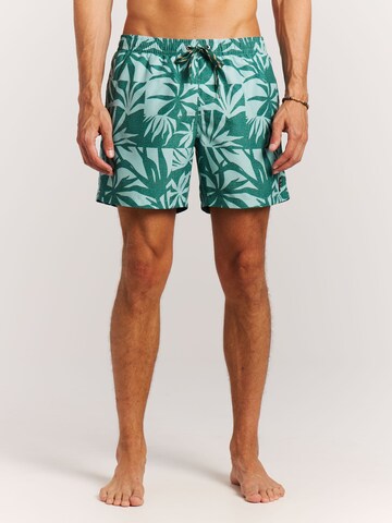 PROTEST Swimming shorts 'PRTPanther' in Blue