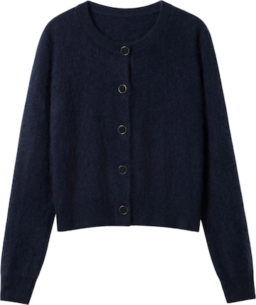 Lilysilk - Cárdigan 'Ultraweicher Cardigan aus gebürstetem Kaschmir' en azul: frente