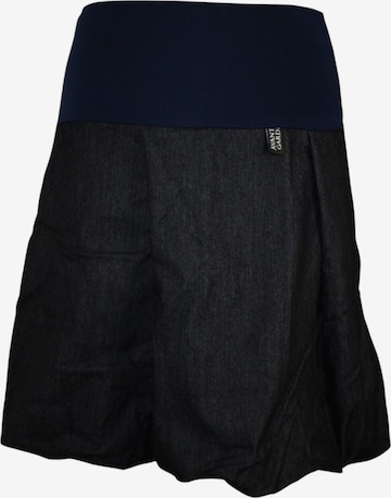 dunkle design Skirt in Blue: front