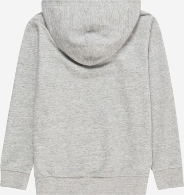 Champion Authentic Athletic Apparel Sweatshirt in Grey