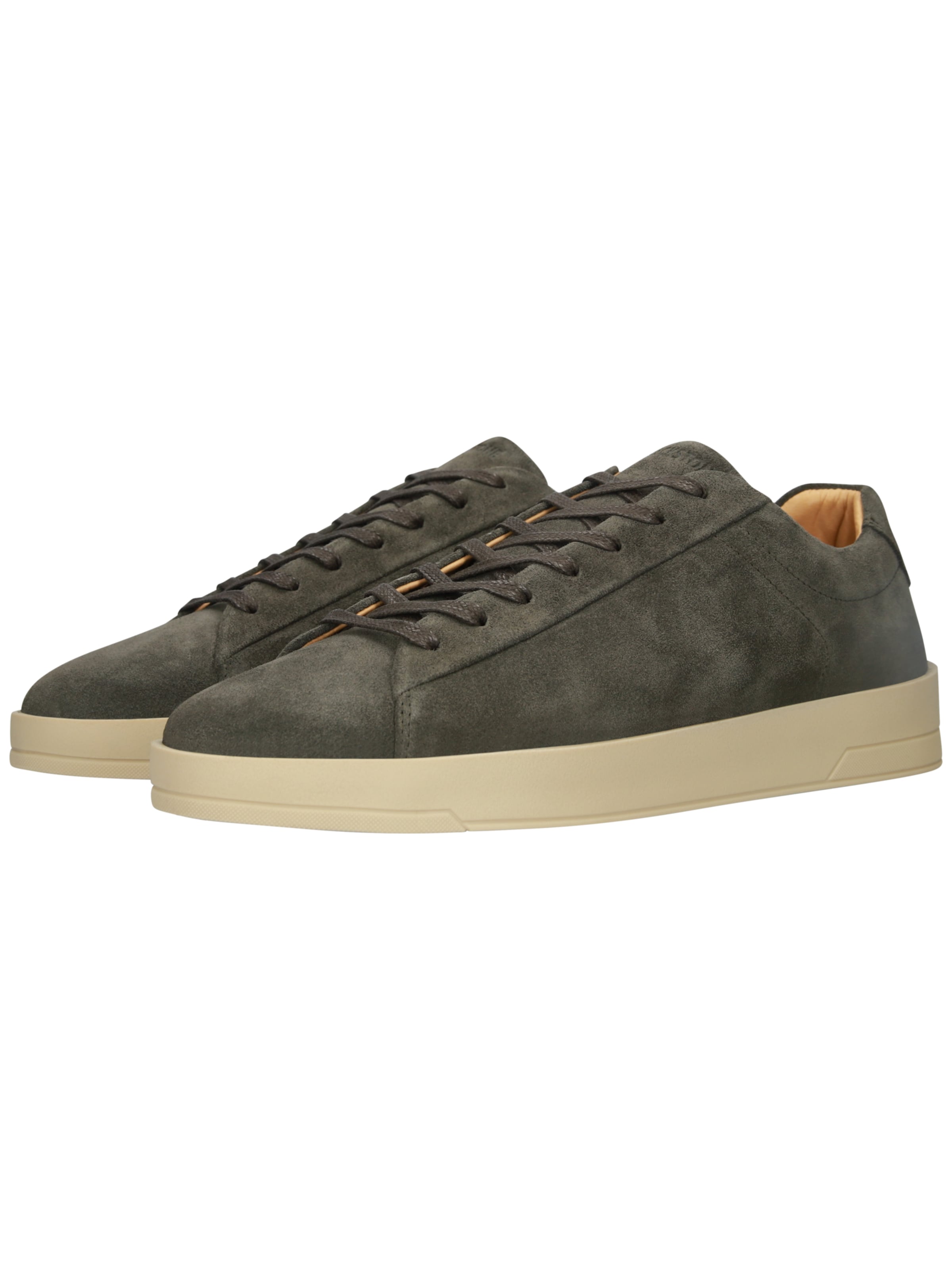 BLACKSTONE Platform trainers 'Cato Victor Bg354' in Green