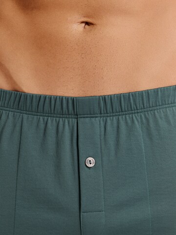 Hanro - Boxers ' Cotton Sporty ' em verde