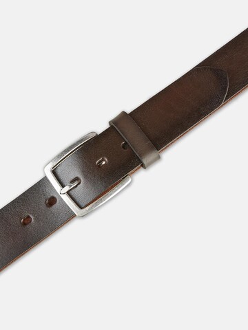 Lloyd belts Belt '1015' in Brown