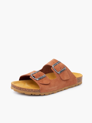 Pisamonas Mule in Brown: front