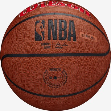 WILSON Ball 'NBA Team Alliance Los Angeles Clippers' in Braun