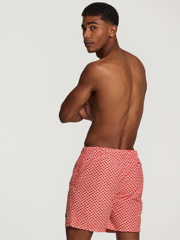 Shorts de bain Shiwi en rouge