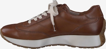 Paul Green Sneakers in Brown