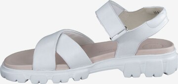 Paul Green Sandals in White