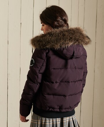 Superdry Winterjas 'Everest' in Lila