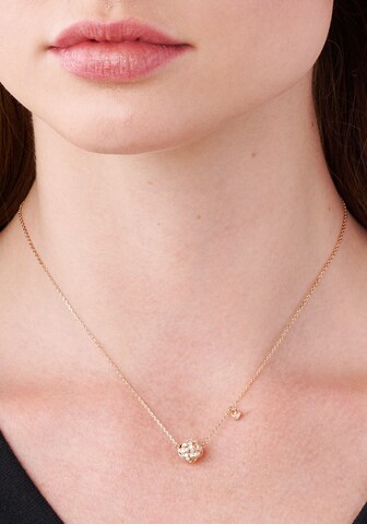 Emporio Armani Necklace in Gold: front
