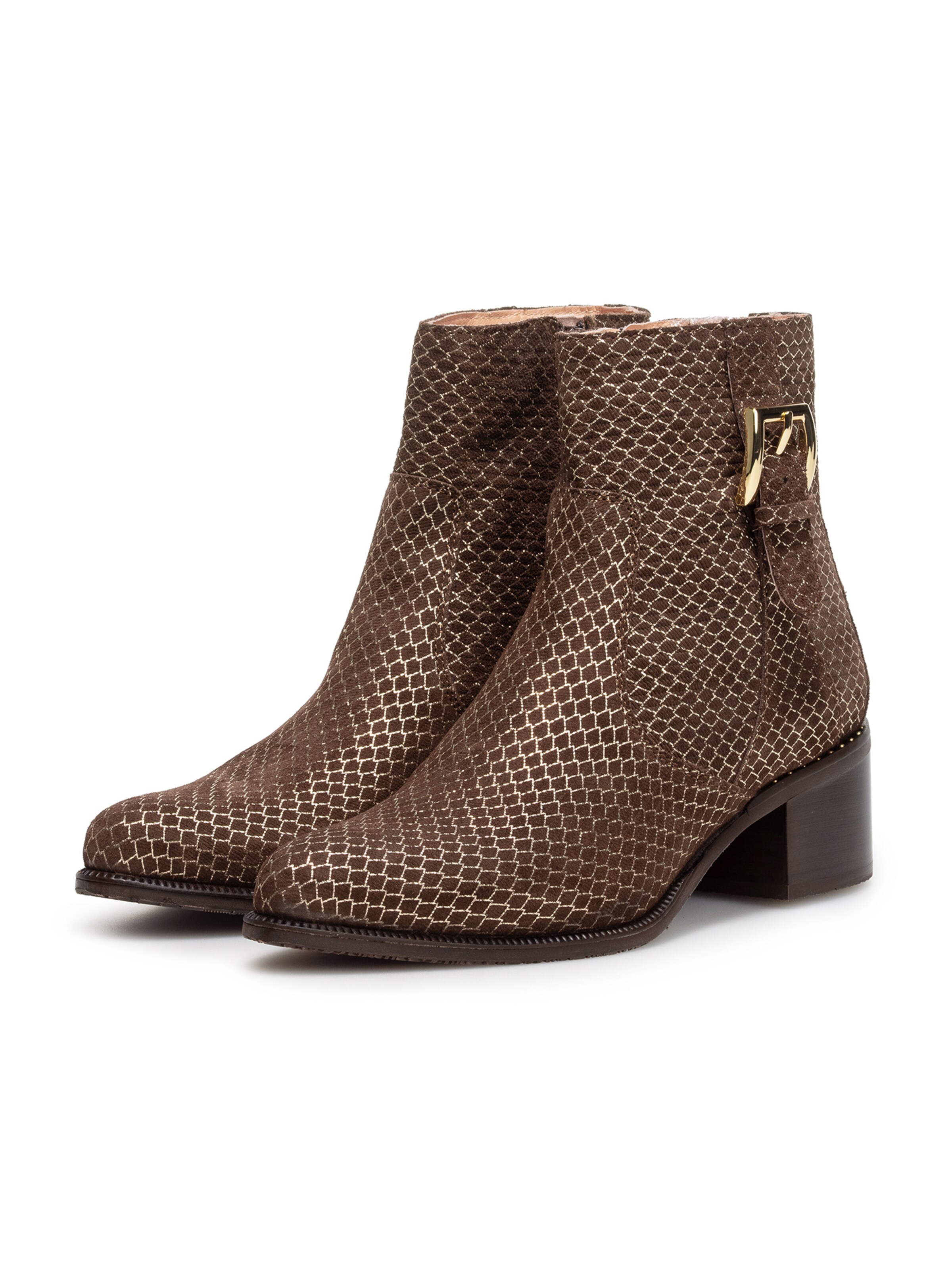 Floris van Bommel Booties 'EVI 05' in Brown