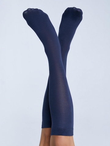 Albero Natur Knee High Socks in Blue